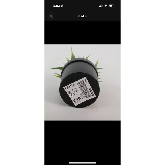 Ikea Fejka Artificial Potted Plant Indoor/Outdoor Grass 3 ½" 004.339.42 - Picture 4 of 10